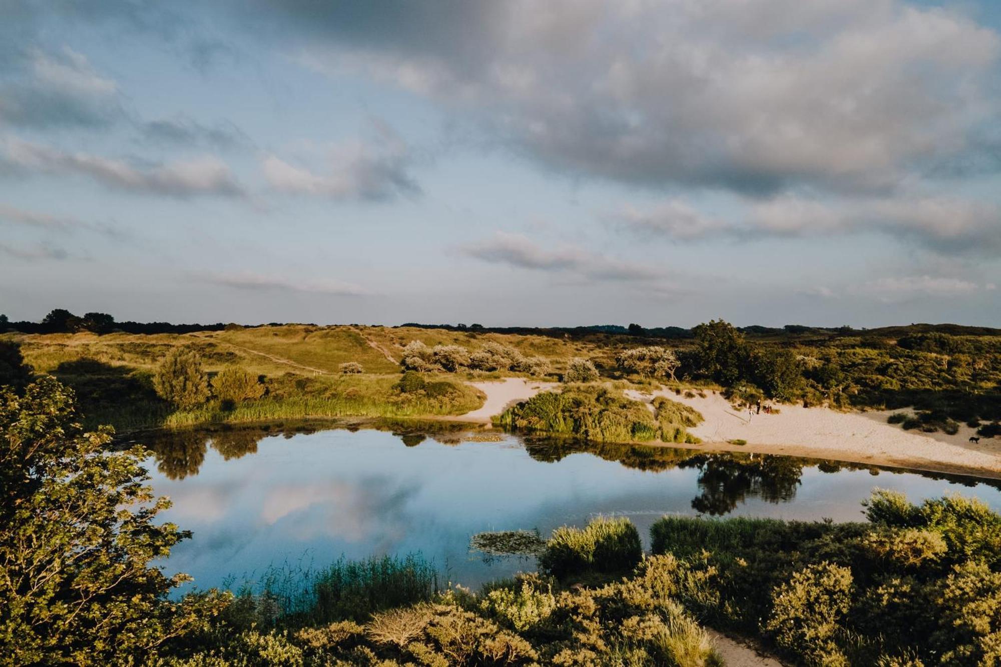 Studio Tara At The Beach With Private Parking Zandvoort Buitenkant foto